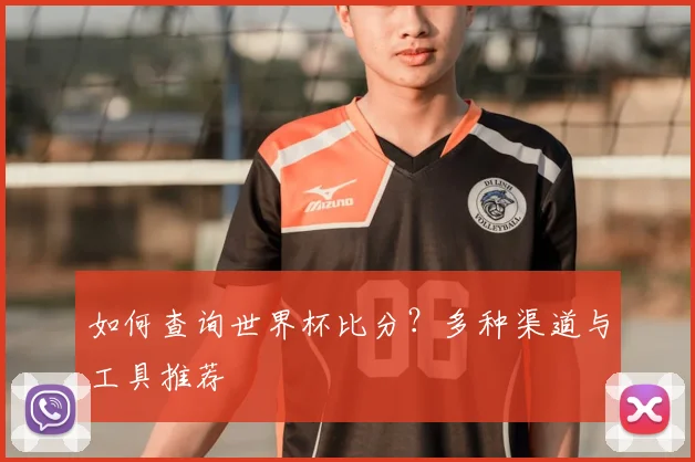如何查询世界杯比分?多种渠道与工具推荐