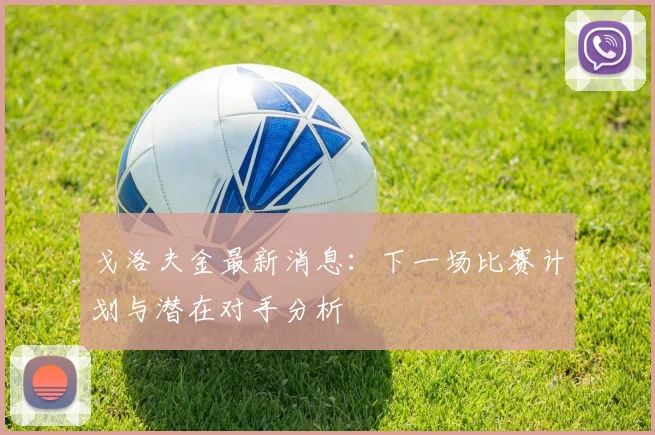 戈洛夫金最新消息:下一场比赛计划与潜在对手分析