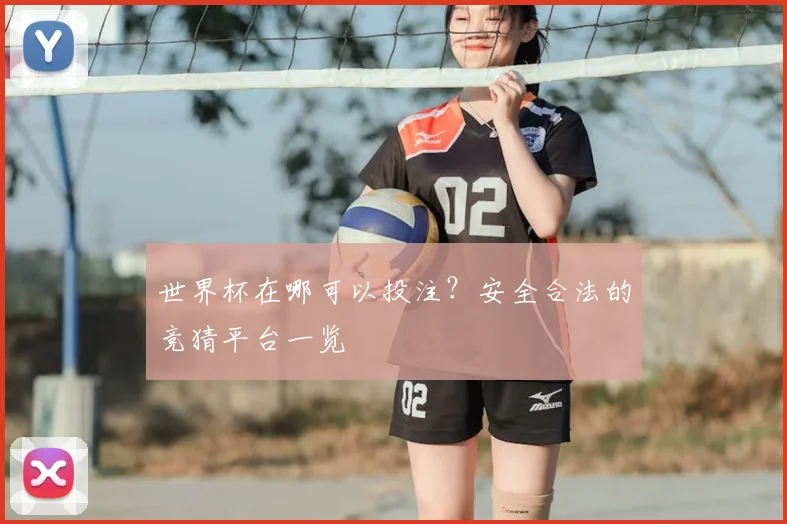 世界杯在哪可以投注？安全合法的竞猜平台一览